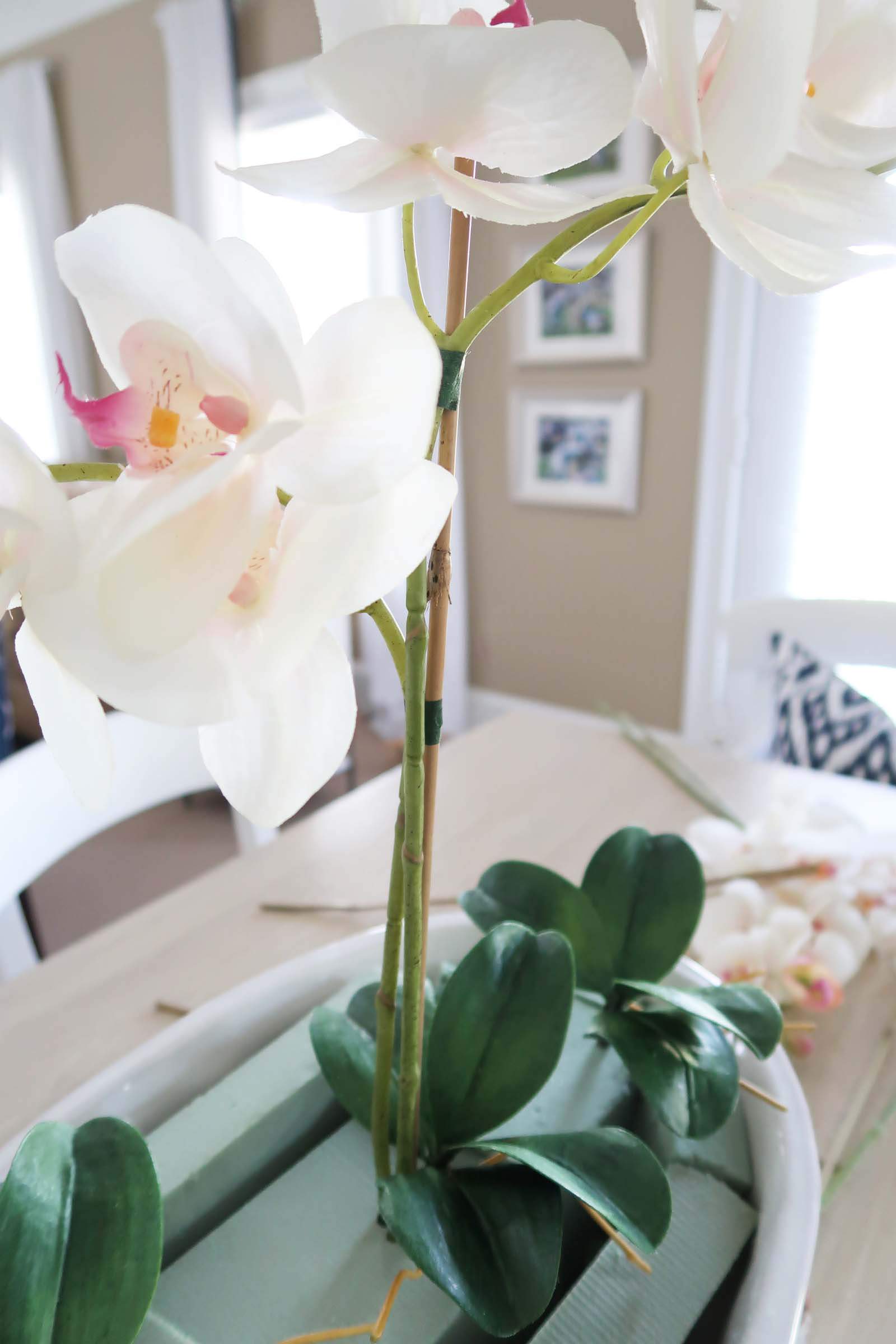 How to Make Fake Orchids - Blue, Orange and Even Green Ones