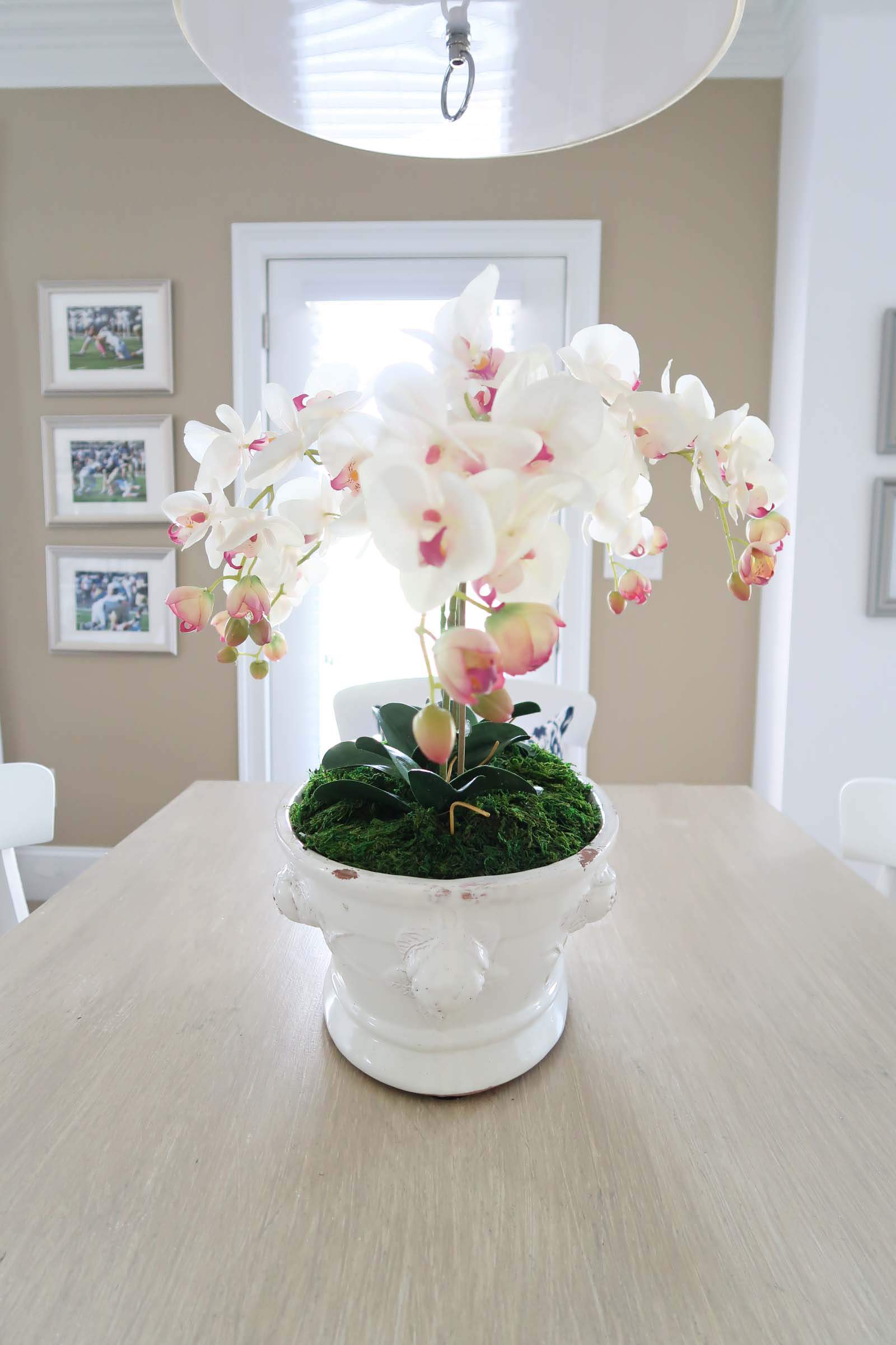 Orchid arrangement complete