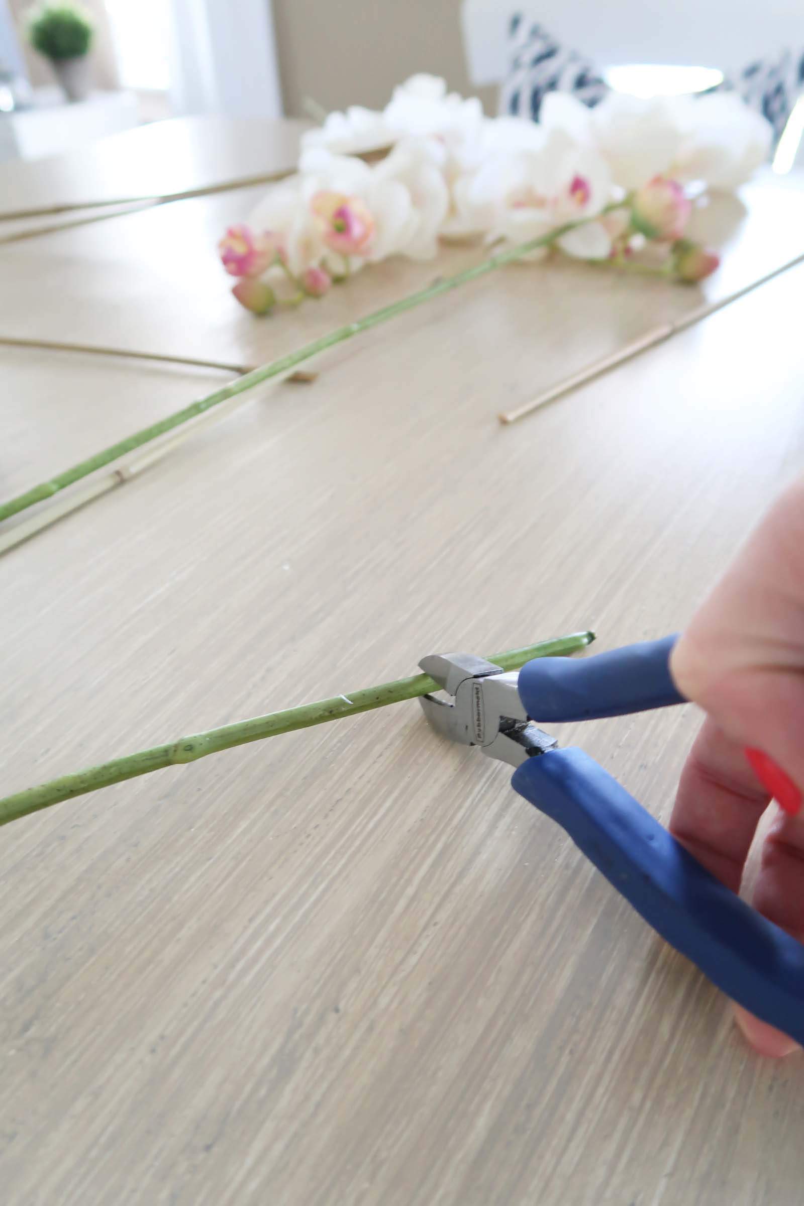 Trim Orchid stems an inch with wire cutters