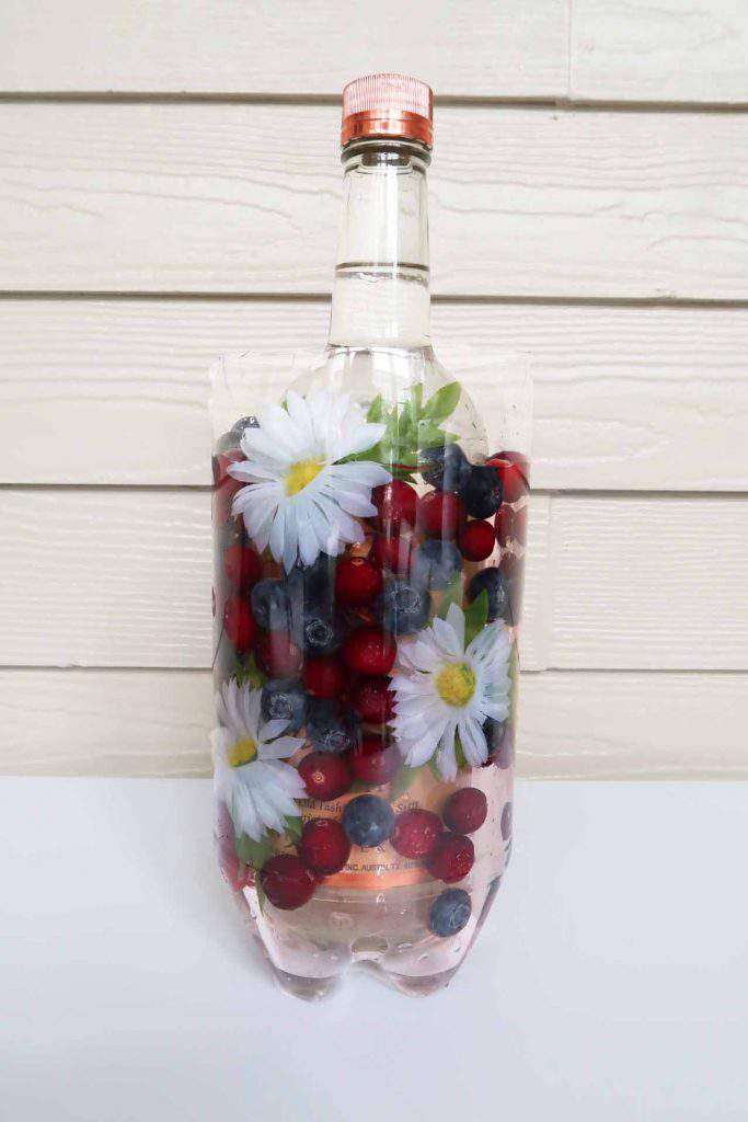 Daisies cranberries and blue berries in water