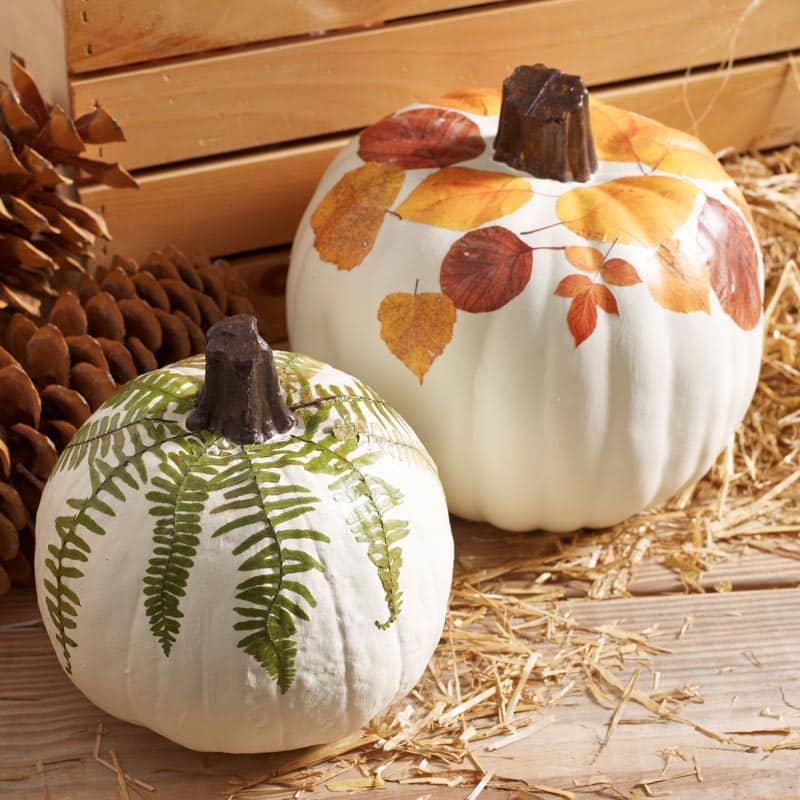 how-to-d-coupage-fall-leaves-on-a-pumpkin-porch-daydreamer