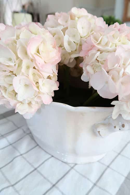 keep adding pink hydrangeas until container is full