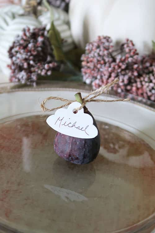 Fig for place setting placard