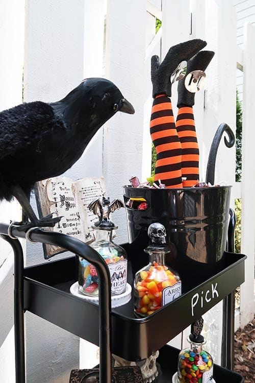 black raven staring at upside down witch leg candy bucket