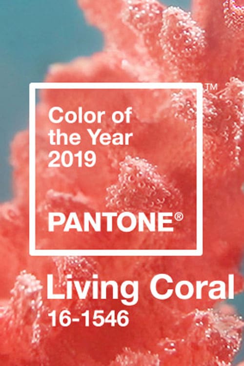 pantone-color-of-the-year-2019-living-coral-banner