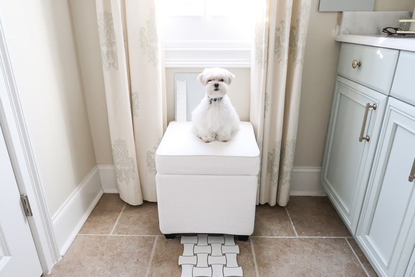 mick-the-maltese-selecting-tile-and-finishes-master-bathroom-makeover