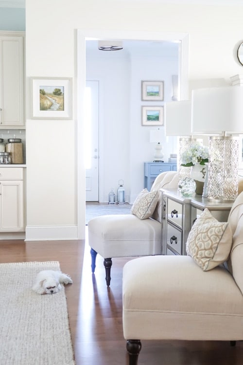 sitting-area-with-mirrored-chest-off-white-chairs-and-maltese-laying-on-runner_1