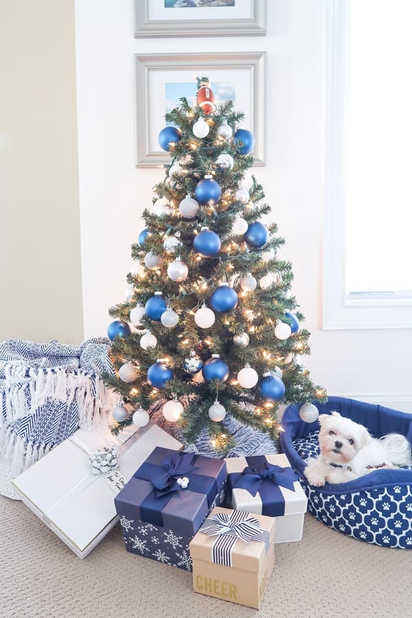mick-the-maltese-under-a-blue-and-white-football-themed-christmas-tree