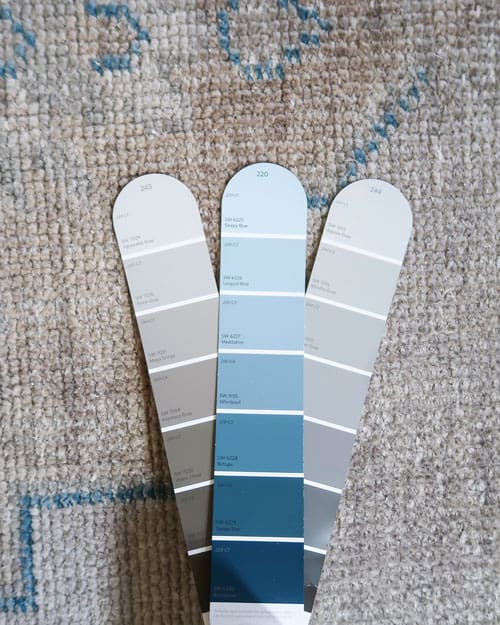 paint-strips-sherwin-williams-paint-color-match-pottery-barn-finn-rug-review