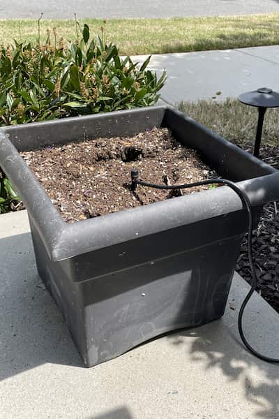 automatically-water-potted-flowers-drip-irrigation