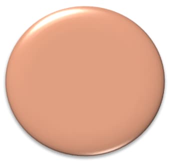 hgtv-2024-color-of-the-year-persimmon