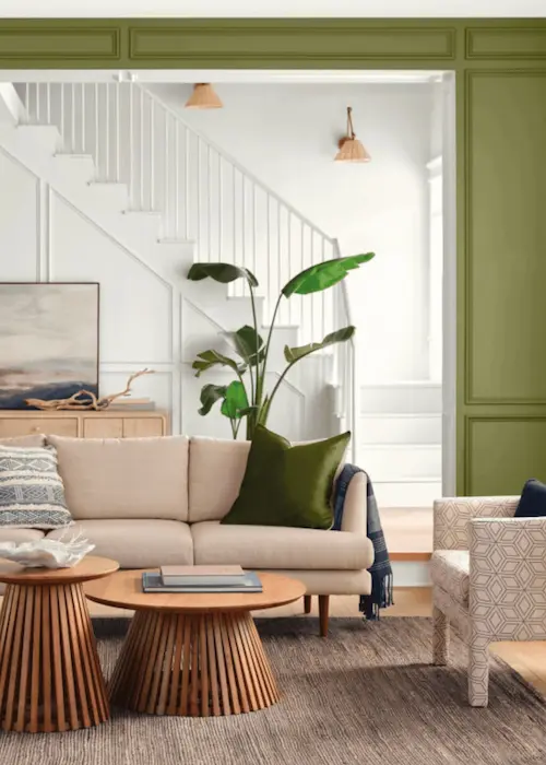 rise-of-olive-green-2024-paint-color-trends