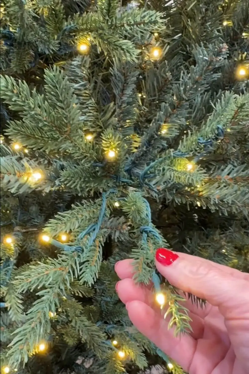 comparing-prelit-tree-branches